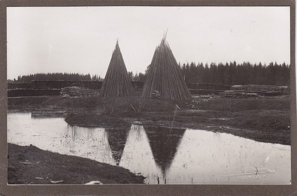 Narva. Kulgu