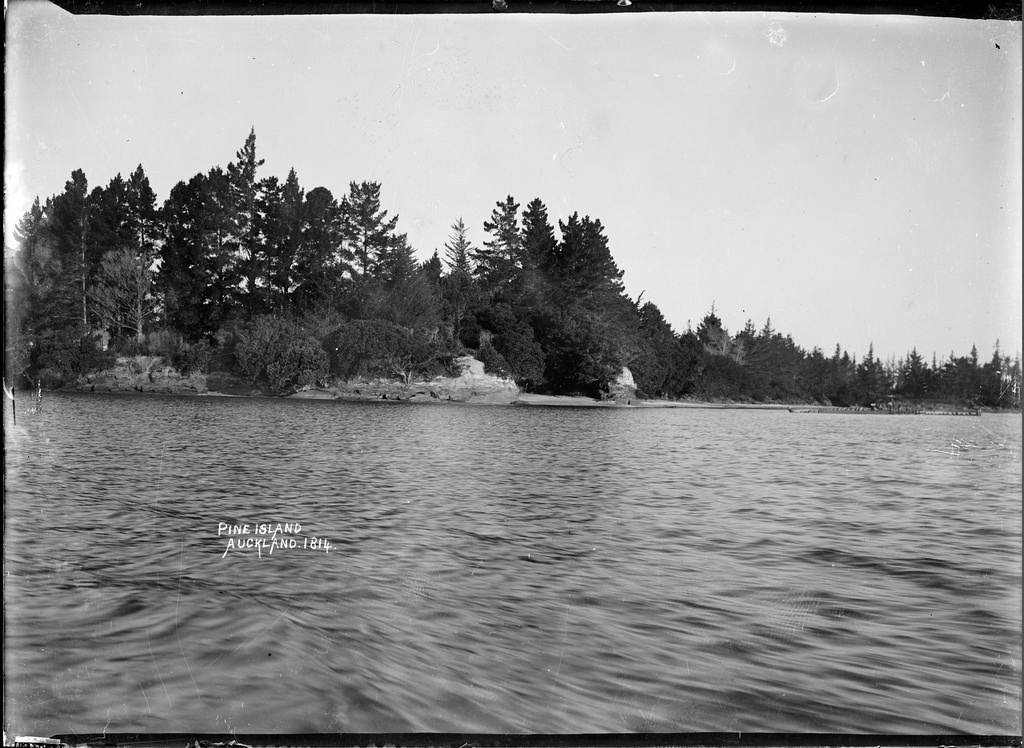 Pine Island, Auckland