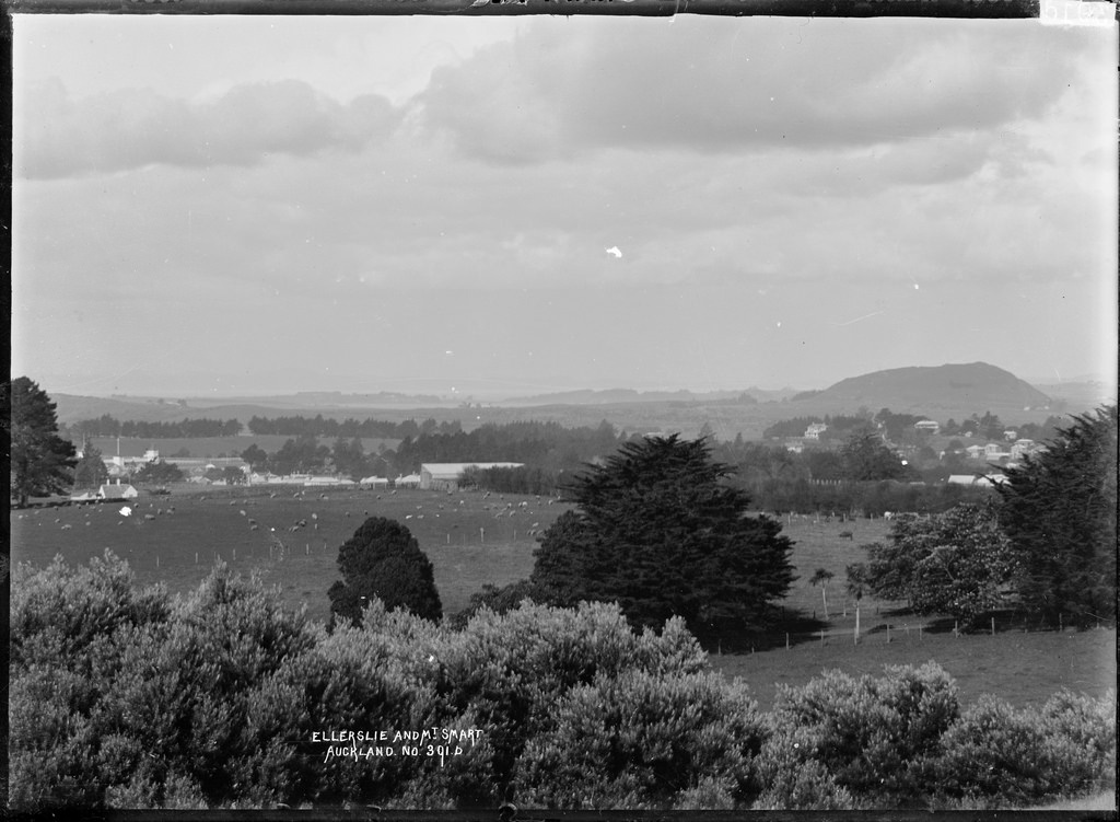 View of Ellerslie and Mount Smart looking east