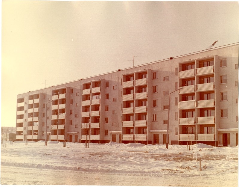Narva. Elamu