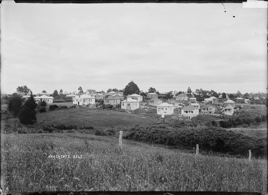 Houses at Richmond Avenue, Northcote, Auckland