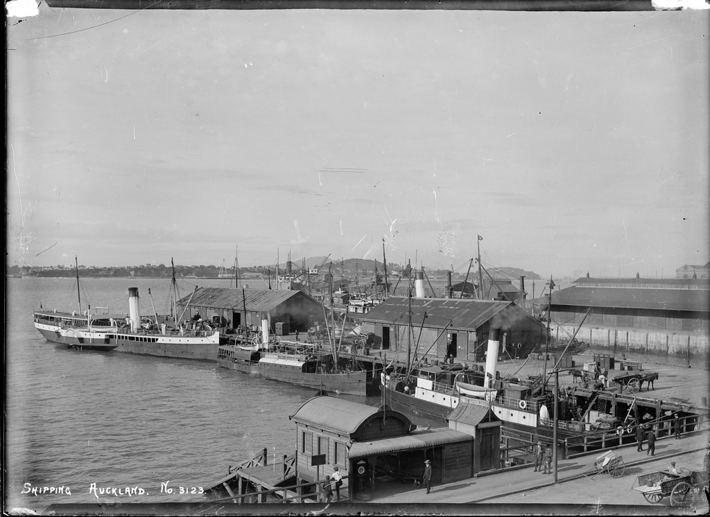 View of the wharves and shipping, Auckland