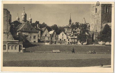 Tallinn. Harju street green area  duplicate photo