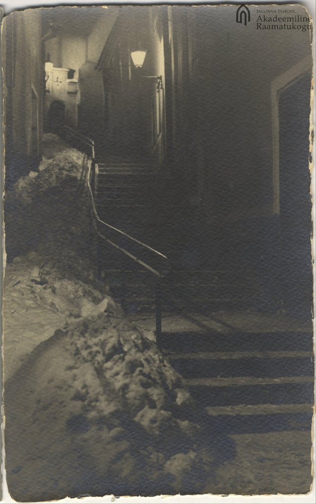 Tallinn. Short leg stairs in the evening