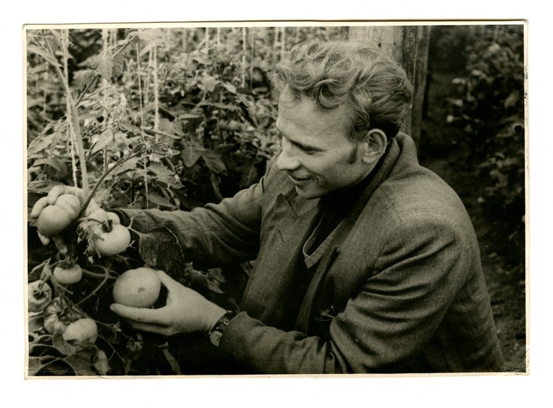 J. Saealle, sovhoosi Narva agronoom