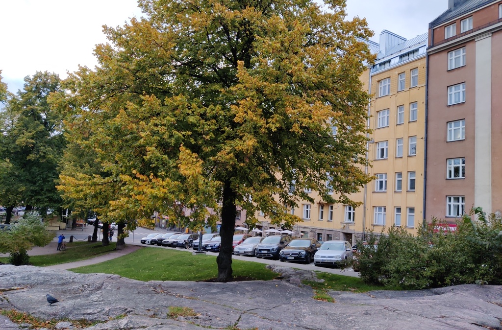 Agricolankatu 7, 9, 11 (=Fleminginkatu 2), 13. Taustalla Kallion kirkko, vasemmalla Karhupuisto. Kulmassa keskellä kangas- ja lyhyttavarakauppa J. E. Nikander. rephoto