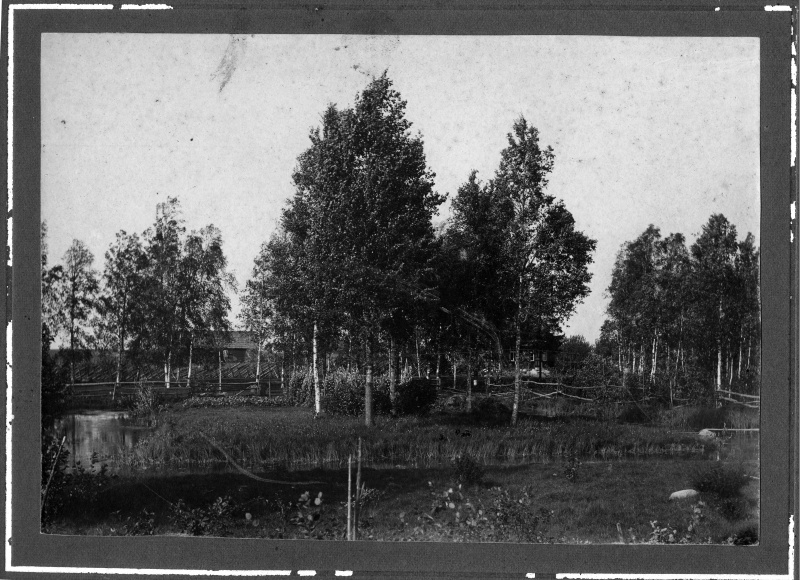 Takkasaare farm. Fish tique.