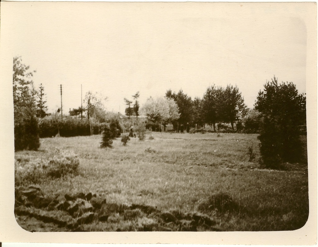 Photo, Lembitu Park Paides