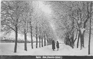 Narva. Alee pimeaias