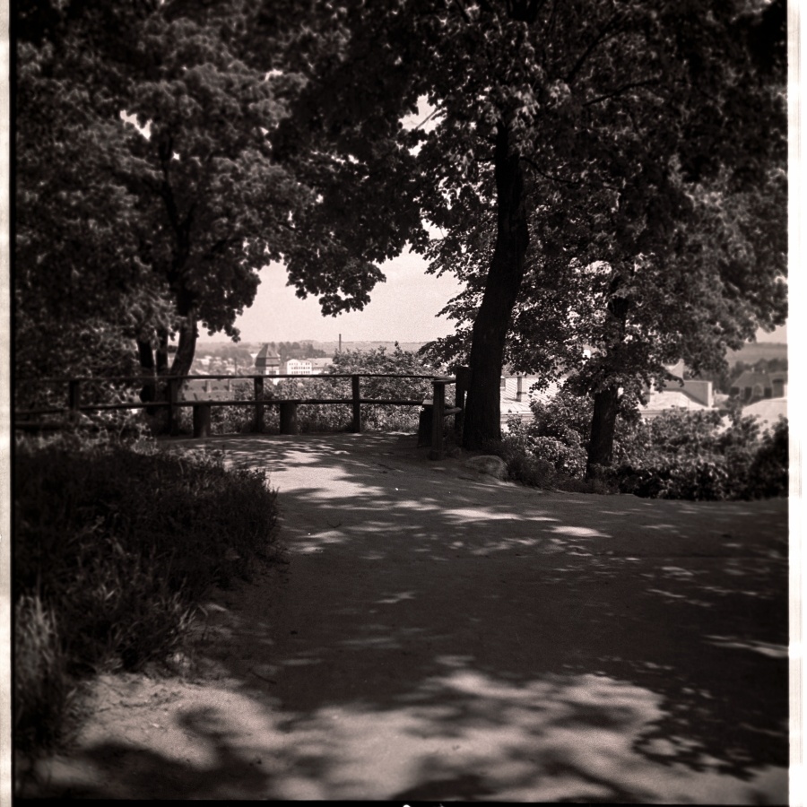 Tartu, park view in Toomemäe.