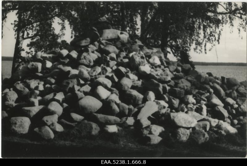 Arvatavasti kivikuhi Käsmus mere ääres