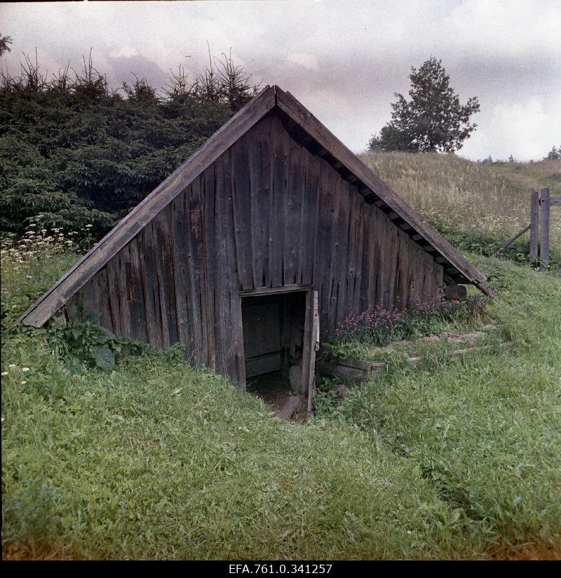 Stuudio "Tallinnfilm" muusikaline lastefilm "Nukitsamees" filmivõtted.