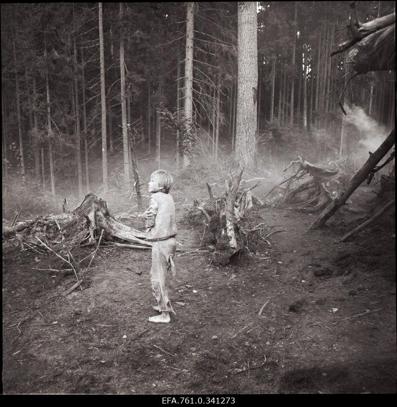 Stuudio "Tallinnfilm" muusikaline lastefilm "Nukitsamees" filmivõtted. Kusti - Ülari Kirsipuu.