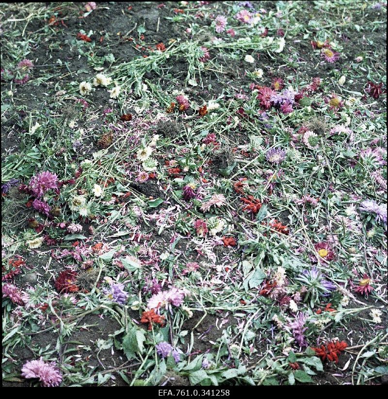 Stuudio "Tallinnfilm" muusikaline lastefilm "Nukitsamees" filmivõtted.