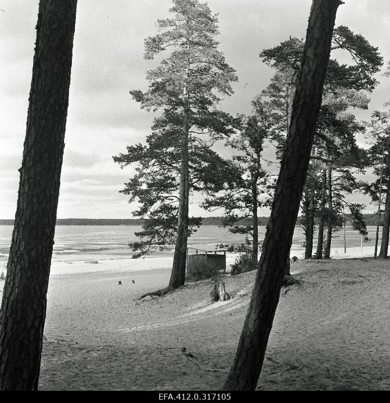 Võsu rand.
