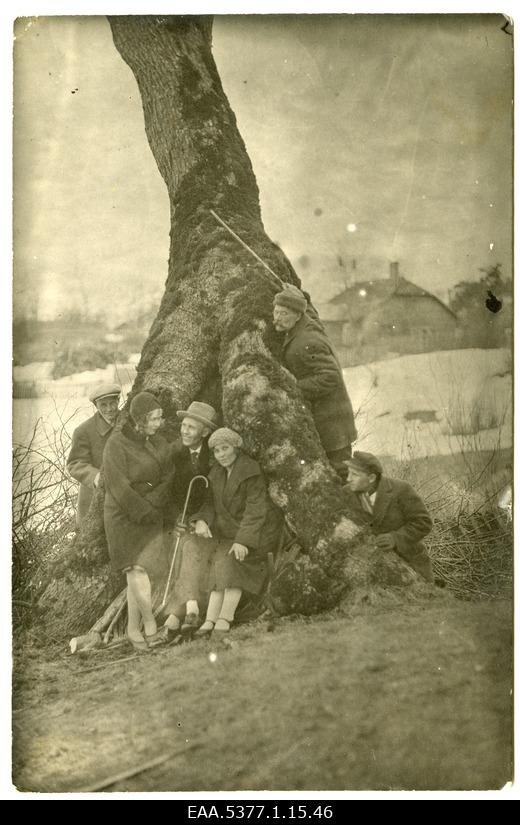 Seltskond Võsul puuvõras