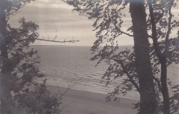 Mererand Narva-Jõesuus