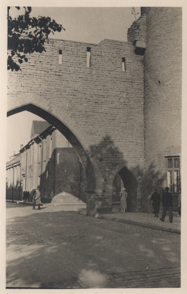 [tallinn] : [Cloostrigate]