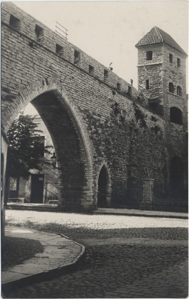 [tallinn] : [Cloostrigate]