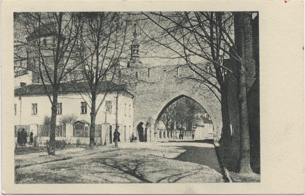 [tallinn] : [Cloostrigate]
