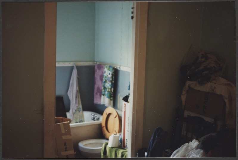 Salome Trei kodu Geneseos