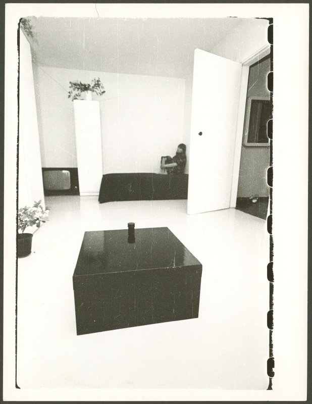 Mare Vindi ja Tõnis Vindi kodu