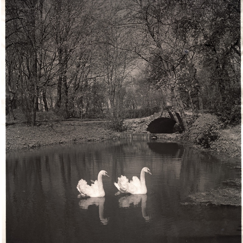 Rakvere, maastikuvaade.