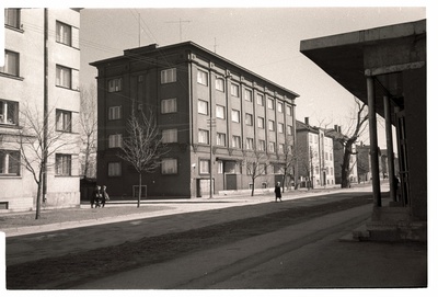 Elamu Kunderi t. 19  similar photo