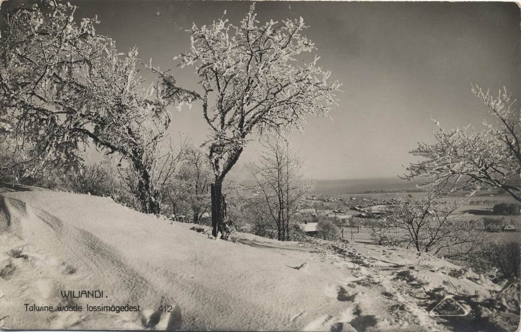 Wiljandi Winter Winter from Wade Castle Mountains