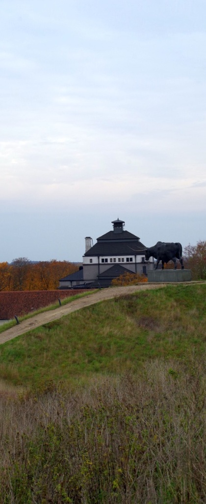 Rakvere, Tarva paigaldamine rephoto