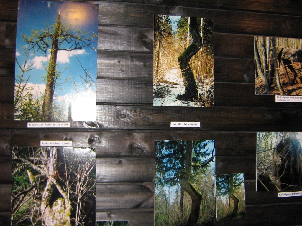 Foto. Alo Põldmäe fotonäitus KALEVIPOJA JÄLGI NEERUTIS. Võru, 18.10.2008.