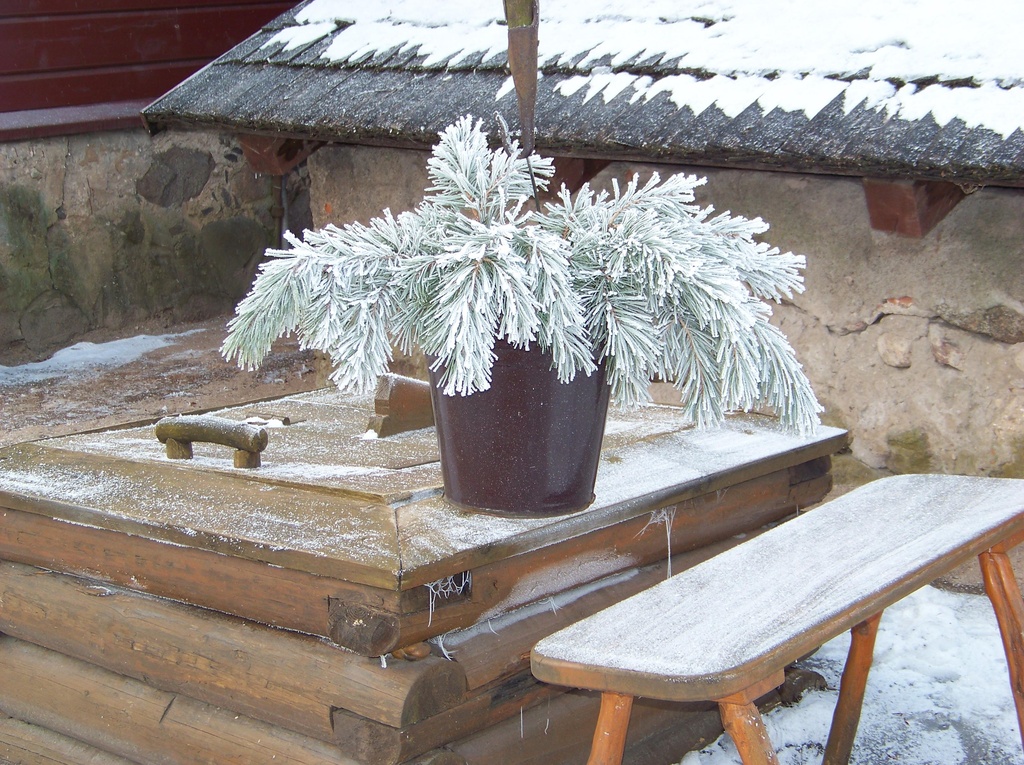 Foto.  Dr. Fr. R. Kreutzwaldi Memoriaalmuuseumi talvine õuevaade: kaev. Võru, 2009.