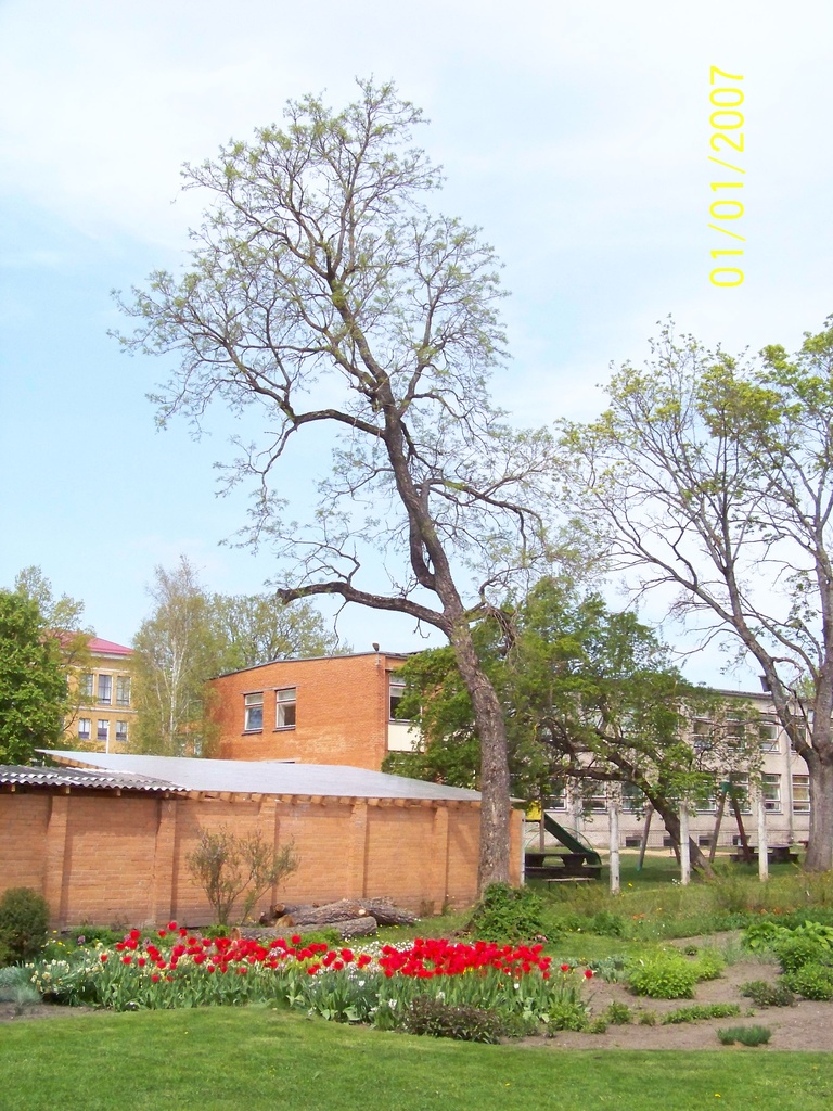 Foto. Vaade muuseumi aeda. Võru, mai 2012.