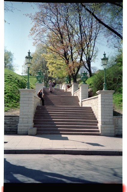 Mayer Tepp in Tallinn