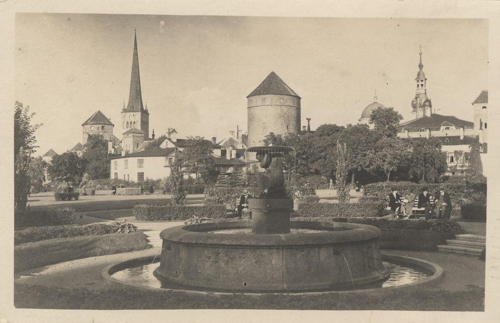 Tallinn : Tower field