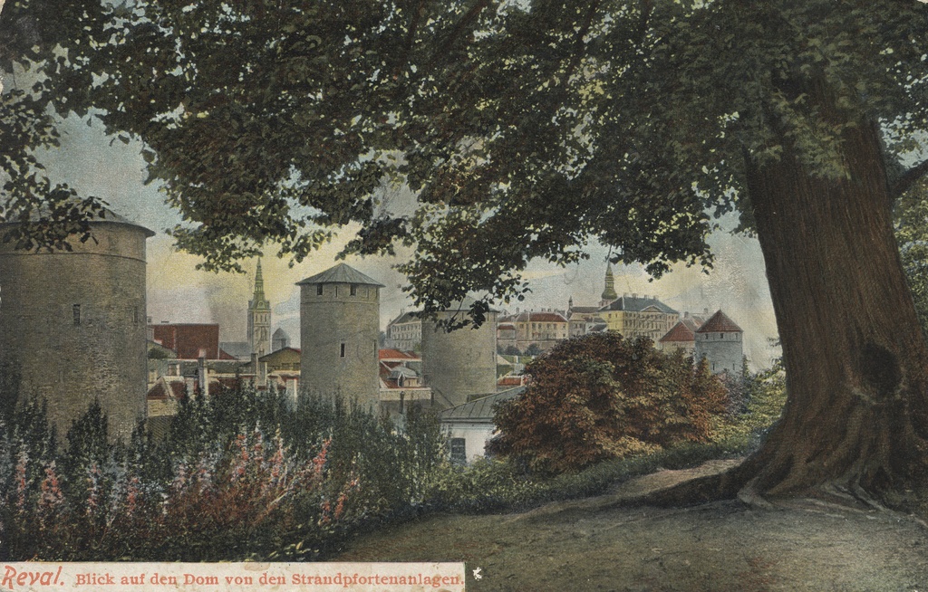 Reval : Watch the Dom from the Beach Forests