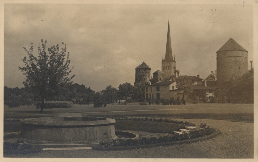 Tallinn : Tower field