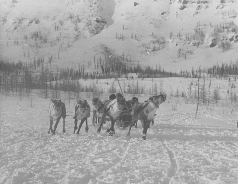 Foto. Põhjala I,Eugen Sappi foto näituselt.