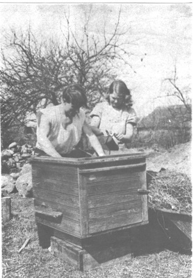 Foto. Rudolf ja Hermiine  Kriisa Haajnamaal mesilasi hooldamas 1930.aastate lõpul.  duplicate photo