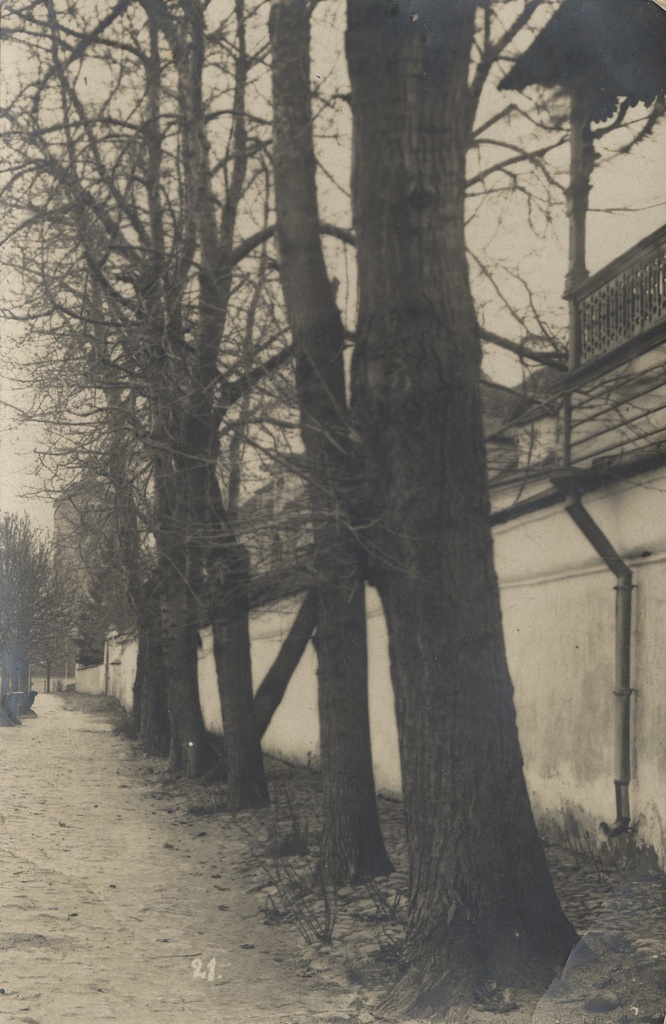 [narva Pimeaed]