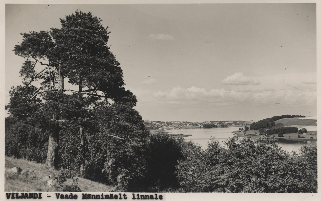 Viljandi view from Männimägi to town