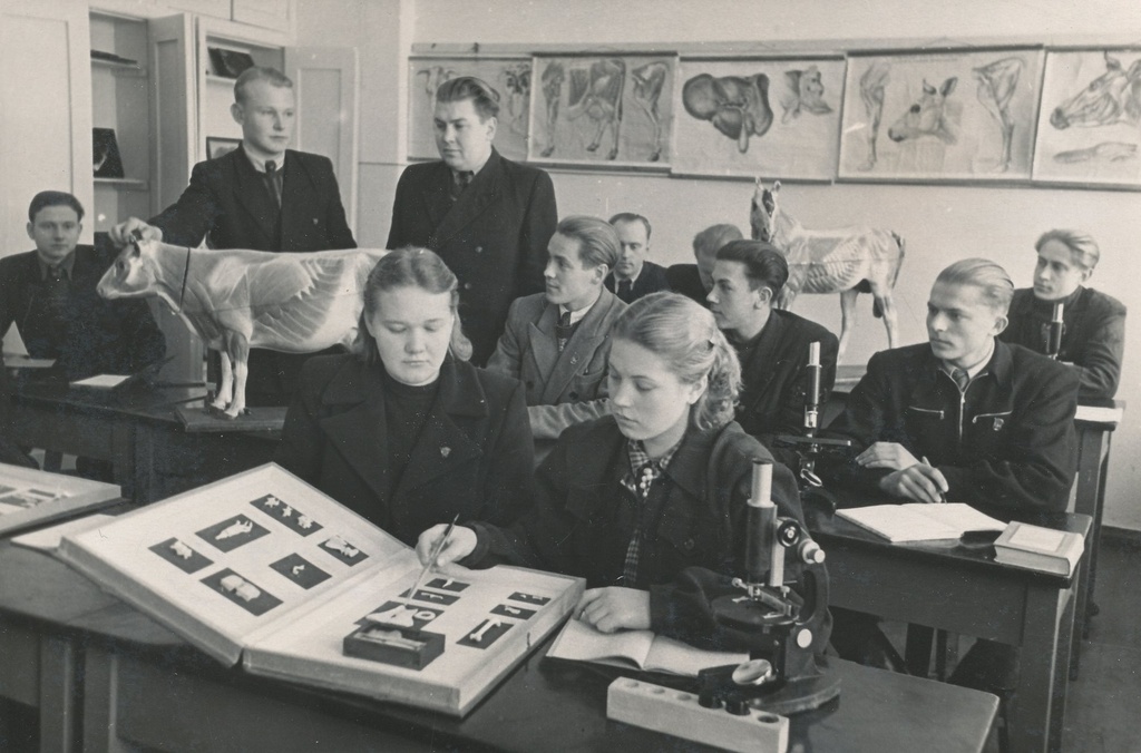 Foto. Patoloogia tund Väimela Zootehnikumi veterinaaria eriala IV kursusel 1953.a. jaanuaris.Õpetaja Klaassen kuulab J.Saabast.