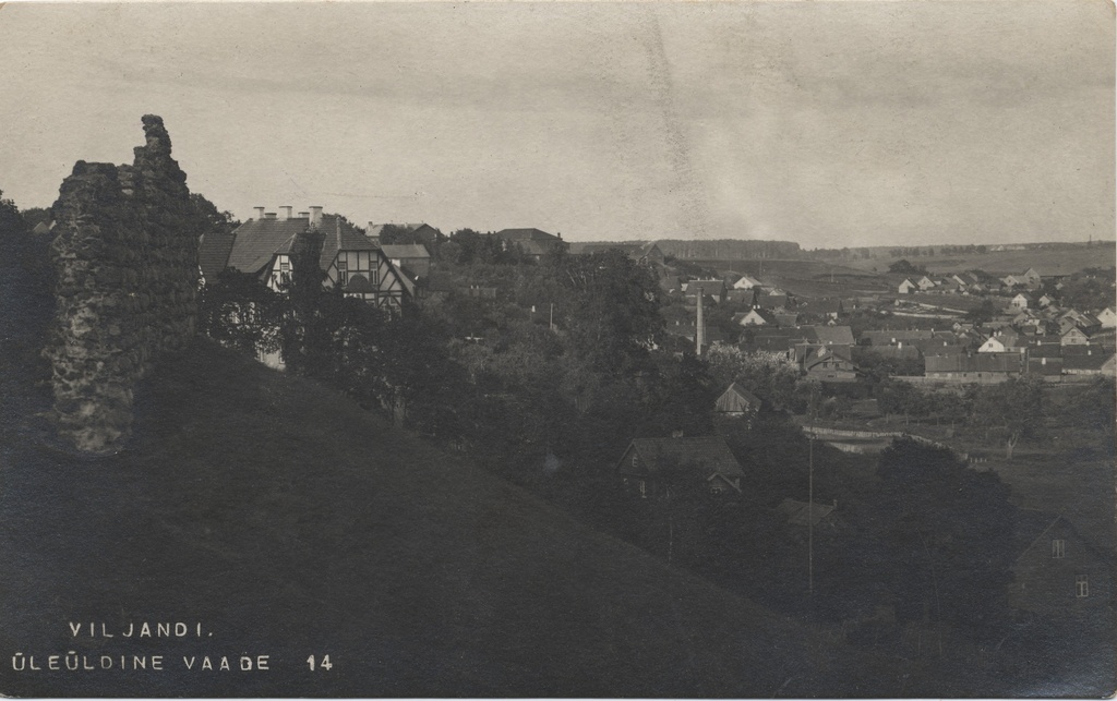 Viljandi's overall view