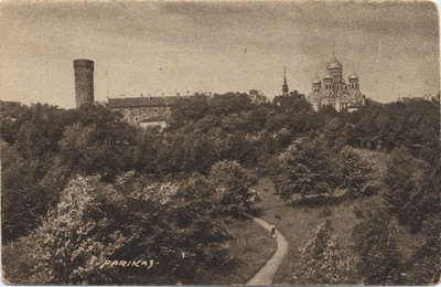 Reval : look at the Dom = Tallinn : Toompea view  duplicate photo