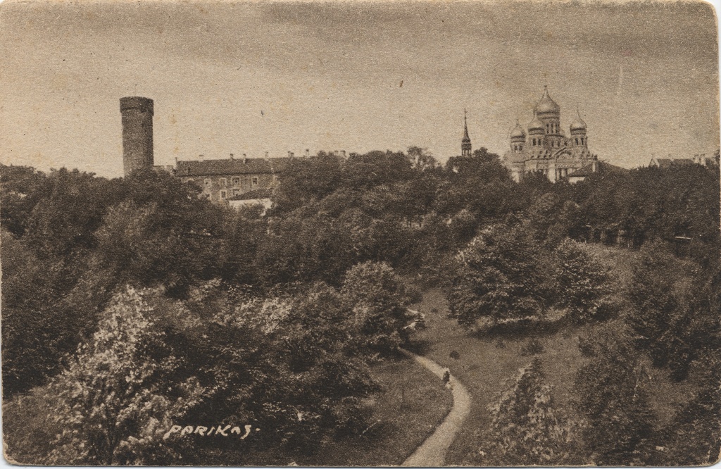 Reval : look at the Dom = Tallinn : Toompea view