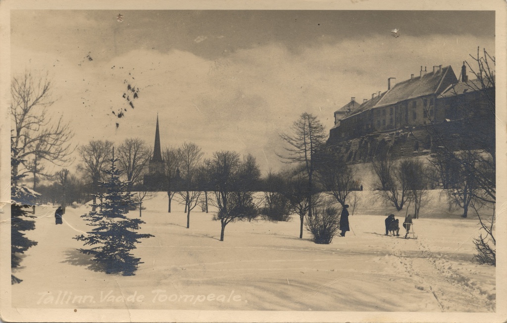 Tallinn : view Toompea