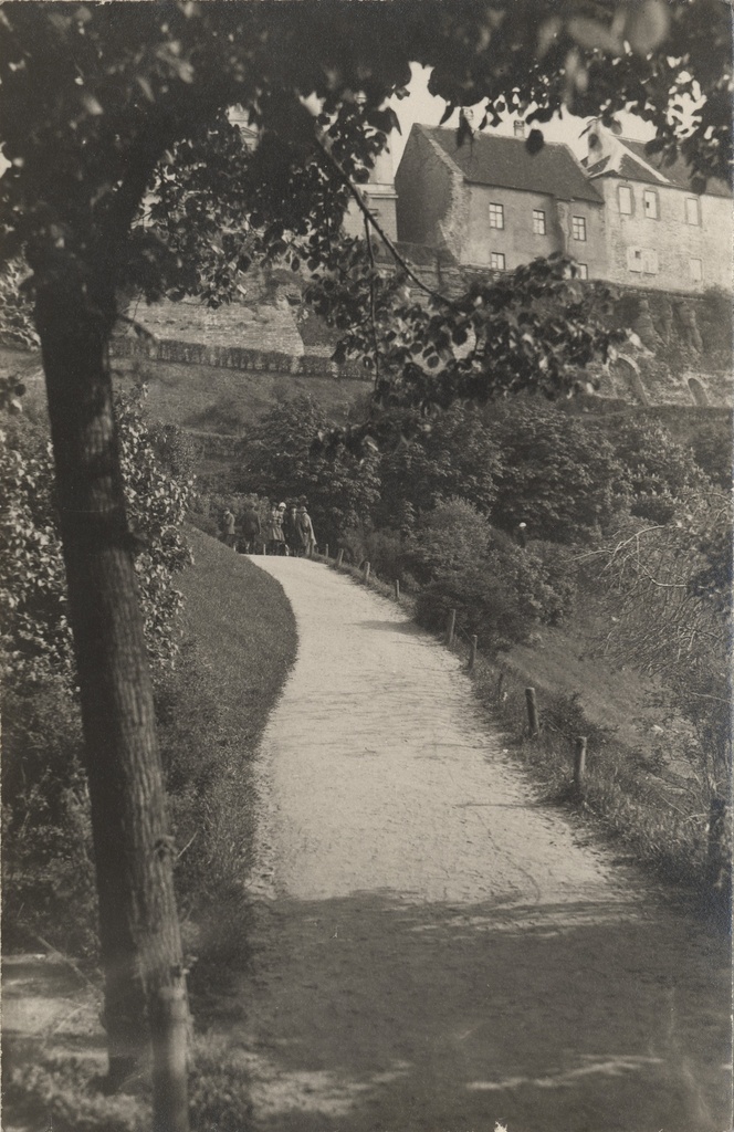 [tallinn] : [view of Toompea]