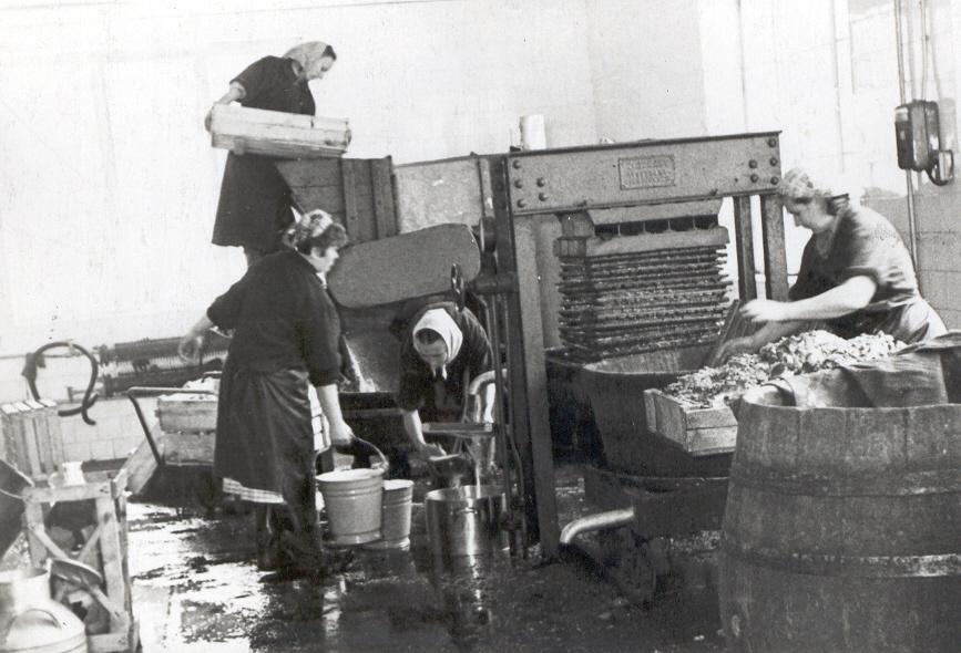 Foto. Võru Rajooni Täitevkomitee Segatööstuskombinaadi Mahlatööstus Võrus, Rimmi tn. 24. Mahlapress.