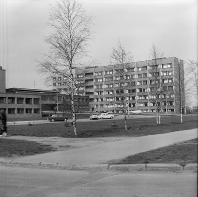 Health care. Pelgulinna's birthplace in Tallinn.  similar photo