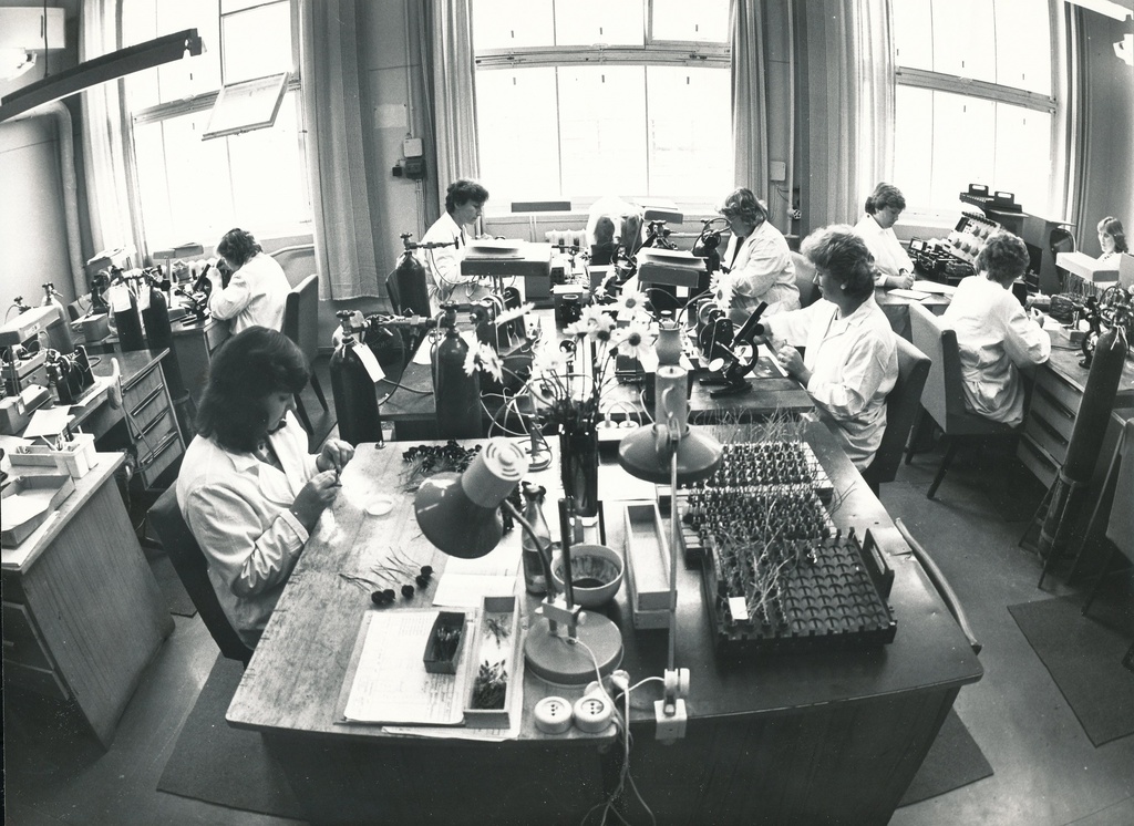 Foto.A.Veimeri nim.  Võru Gaasianalüsaatorite Tehase õlgelementide tsehh 28.juulil 1987.a.